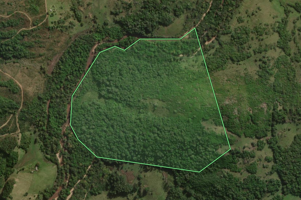 Imagem de satélite do imóvel rural em Canguçu (RS), com o contorno declarado no CAR desenhado por cima.