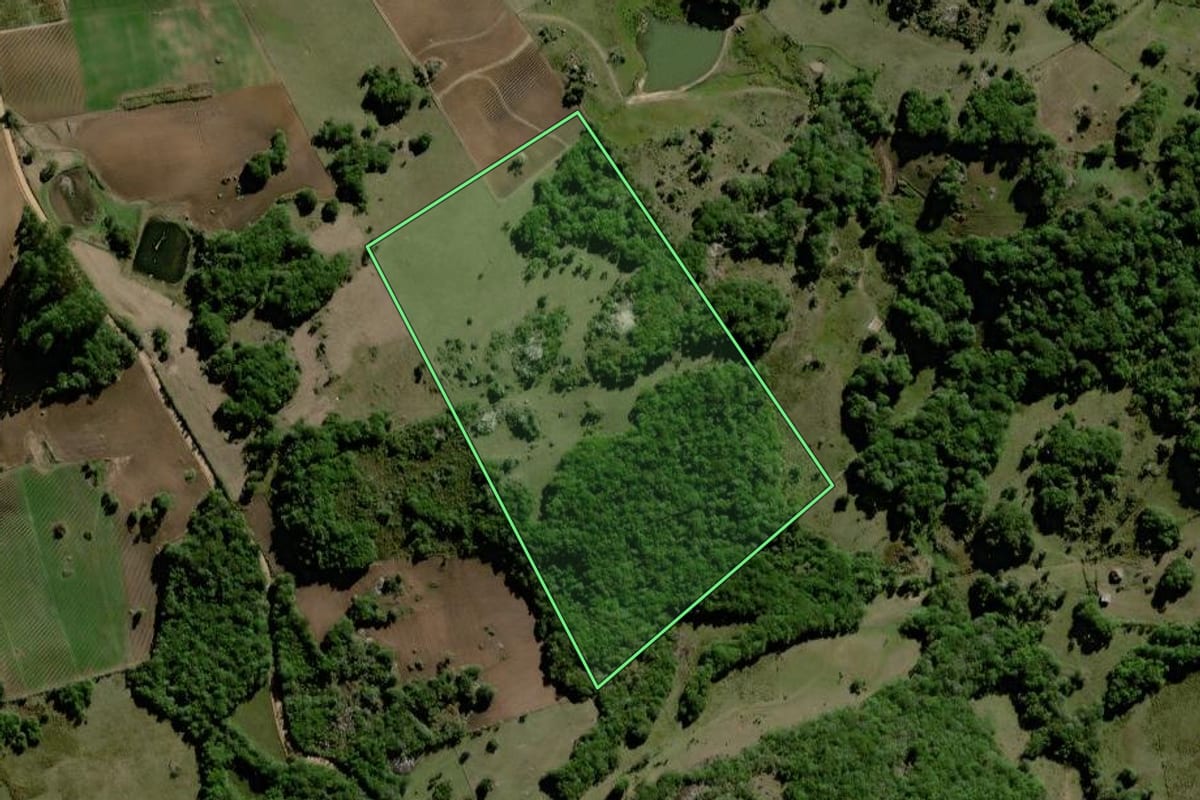 Imagem de satélite do imóvel rural em Canguçu (RS), com o contorno declarado no CAR desenhado por cima.