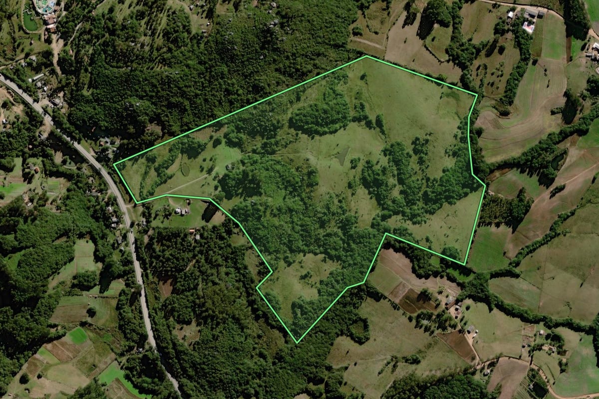 Imagem de satélite do imóvel rural em Canguçu (RS), com o contorno declarado no CAR desenhado por cima.