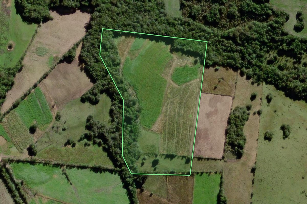 Imagem de satélite do imóvel rural em Canguçu (RS), com o contorno declarado no CAR desenhado por cima.