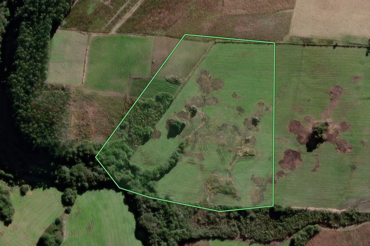 Imagem de satélite do imóvel rural em Canguçu (RS), com o contorno declarado no CAR desenhado por cima.