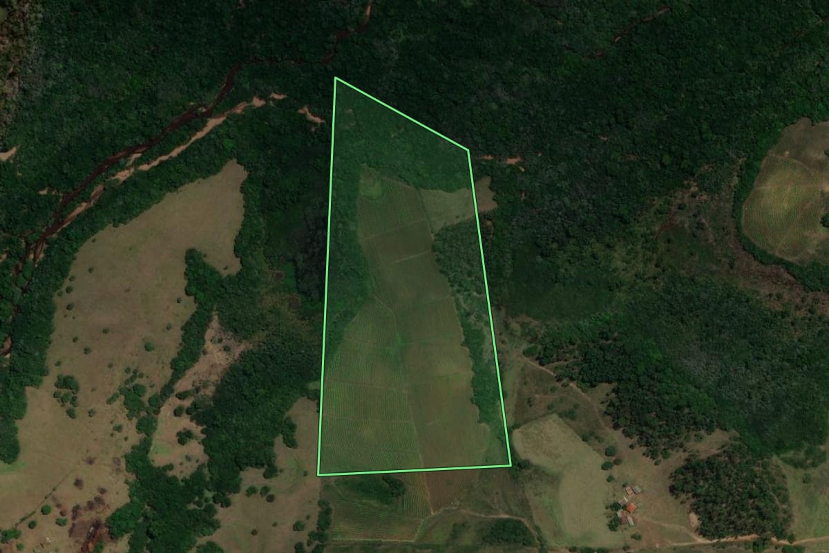 Imagem de satélite do imóvel rural em Canguçu (RS), com o contorno declarado no CAR desenhado por cima.