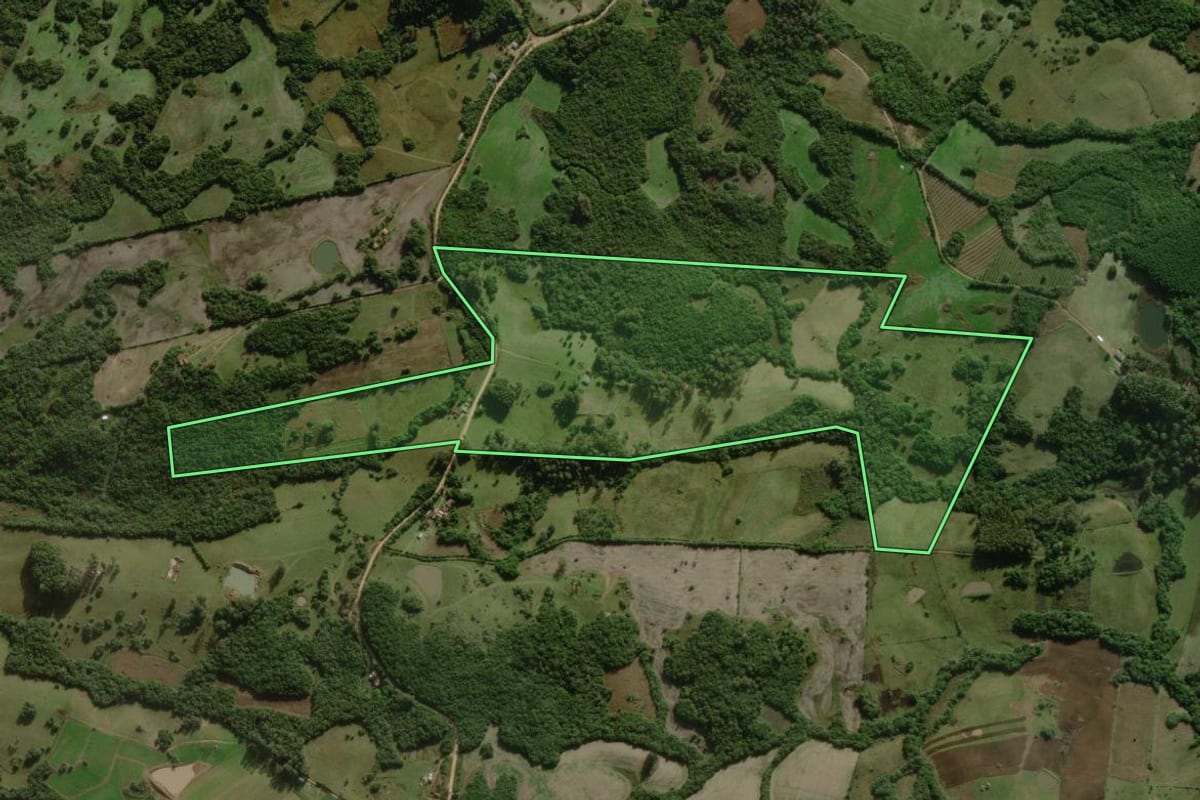 Imagem de satélite do imóvel rural em Canguçu (RS), com o contorno declarado no CAR desenhado por cima.