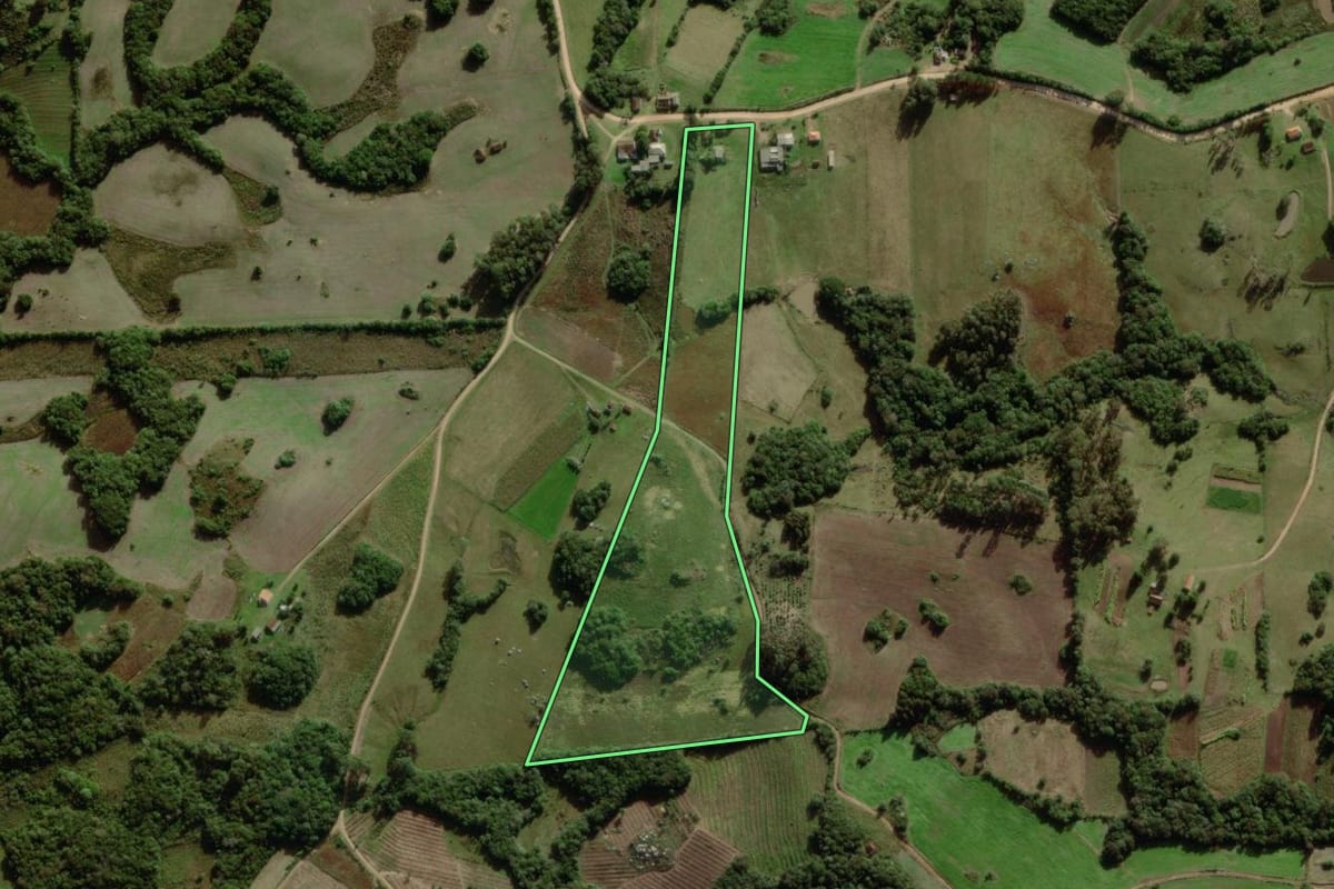 Imagem de satélite do imóvel rural em Canguçu (RS), com o contorno declarado no CAR desenhado por cima.
