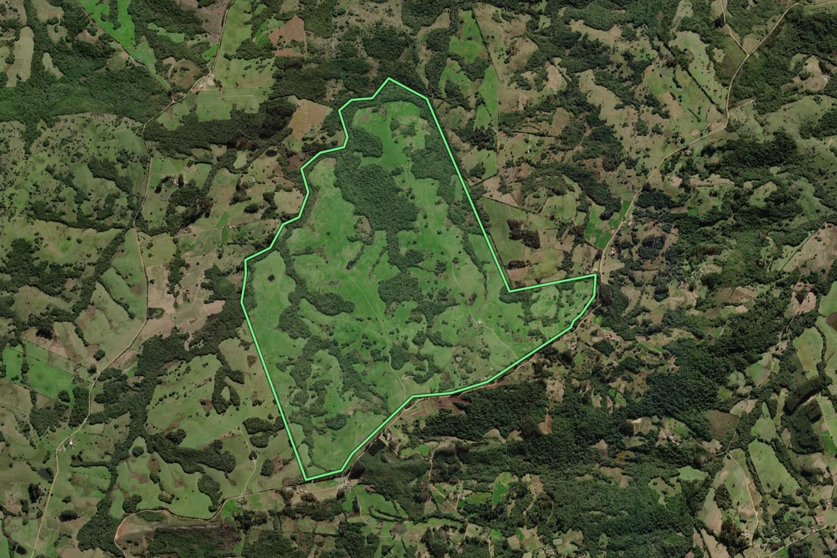 Imagem de satélite do imóvel rural em Canguçu (RS), com o contorno declarado no CAR desenhado por cima.