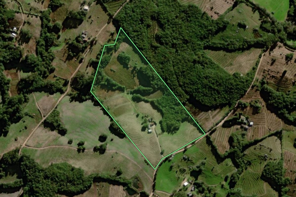 Imagem de satélite do imóvel rural em Canguçu (RS), com o contorno declarado no CAR desenhado por cima.