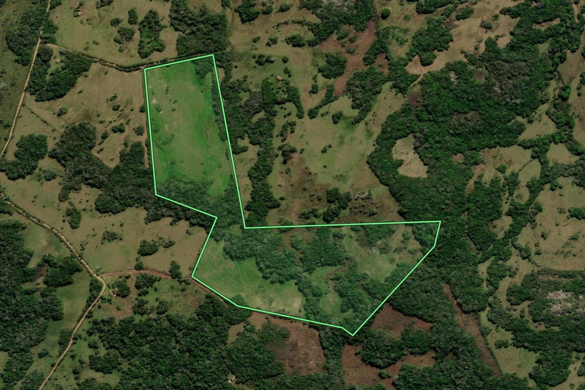 Imagem de satélite do imóvel rural em Canguçu (RS), com o contorno declarado no CAR desenhado por cima.
