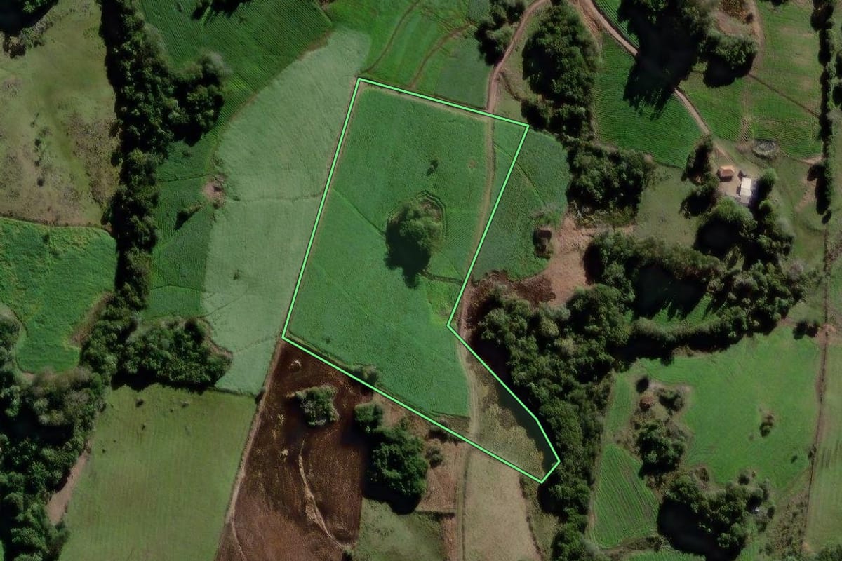 Imagem de satélite do imóvel rural em Canguçu (RS), com o contorno declarado no CAR desenhado por cima.