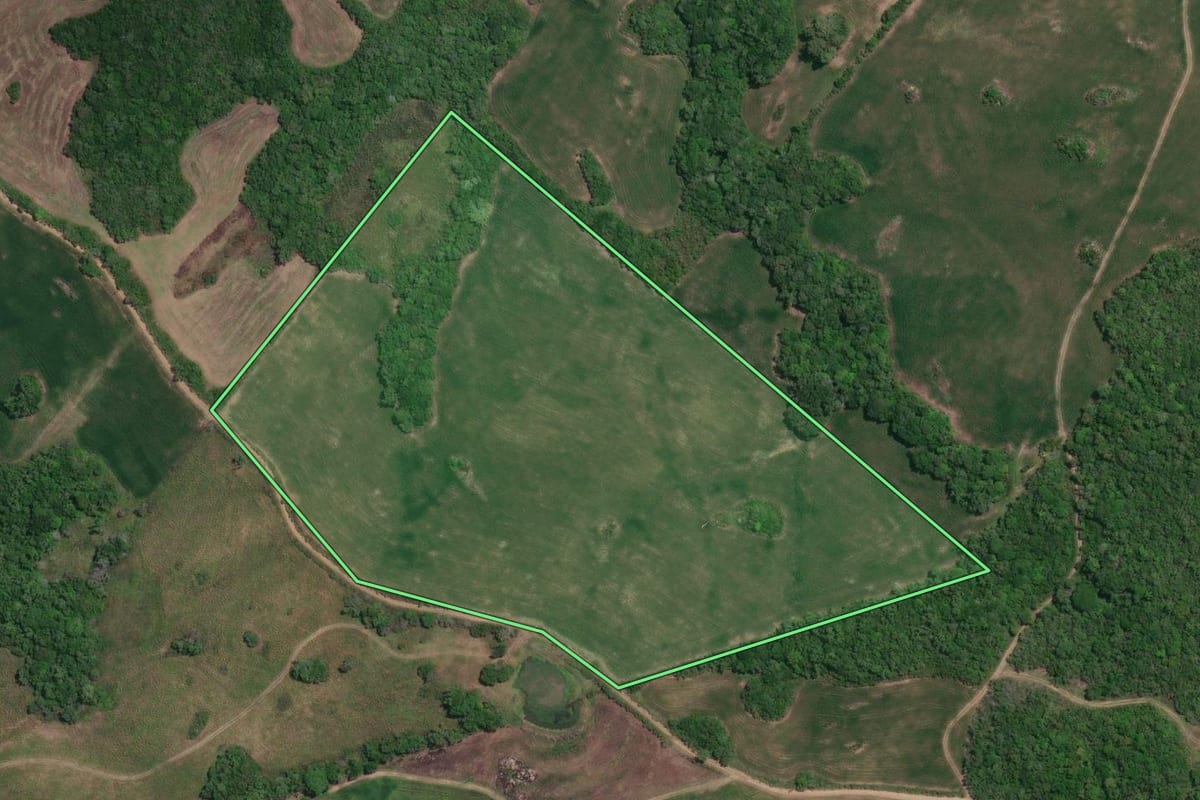 Imagem de satélite do imóvel rural em Canguçu (RS), com o contorno declarado no CAR desenhado por cima.