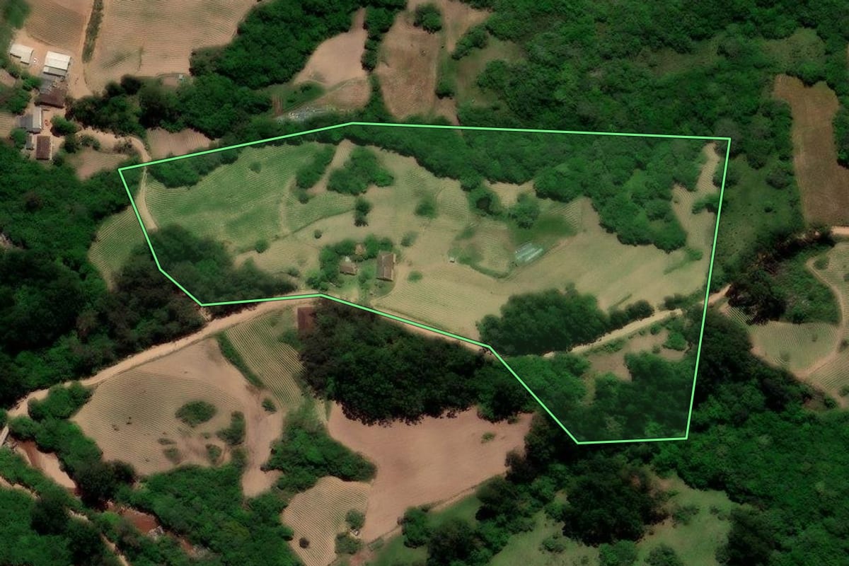 Imagem de satélite do imóvel rural em Canguçu (RS), com o contorno declarado no CAR desenhado por cima.