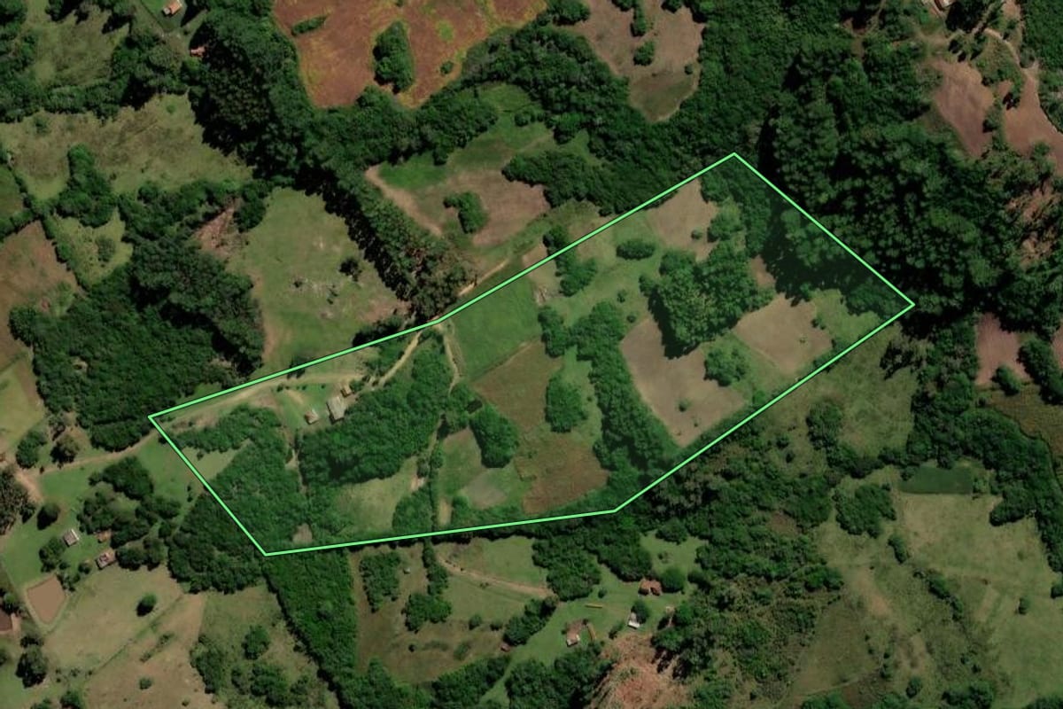 Imagem de satélite do imóvel rural em Canguçu (RS), com o contorno declarado no CAR desenhado por cima.