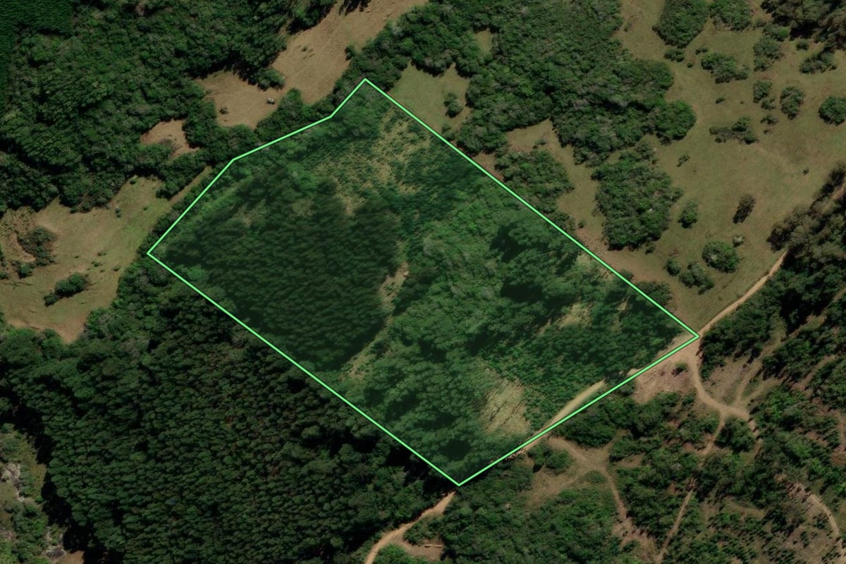 Imagem de satélite do imóvel rural em Canguçu (RS), com o contorno declarado no CAR desenhado por cima.