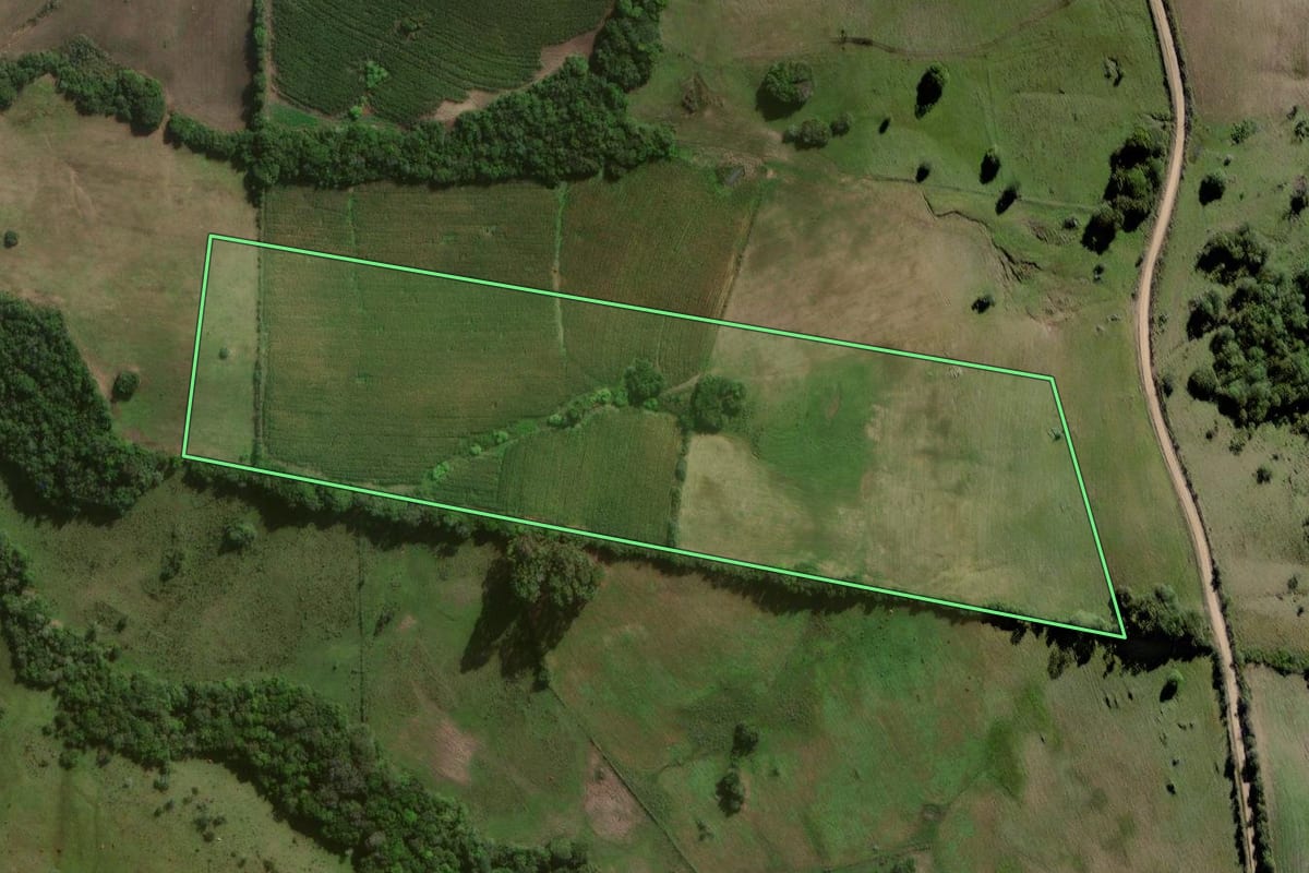 Imagem de satélite do imóvel rural em Canguçu (RS), com o contorno declarado no CAR desenhado por cima.