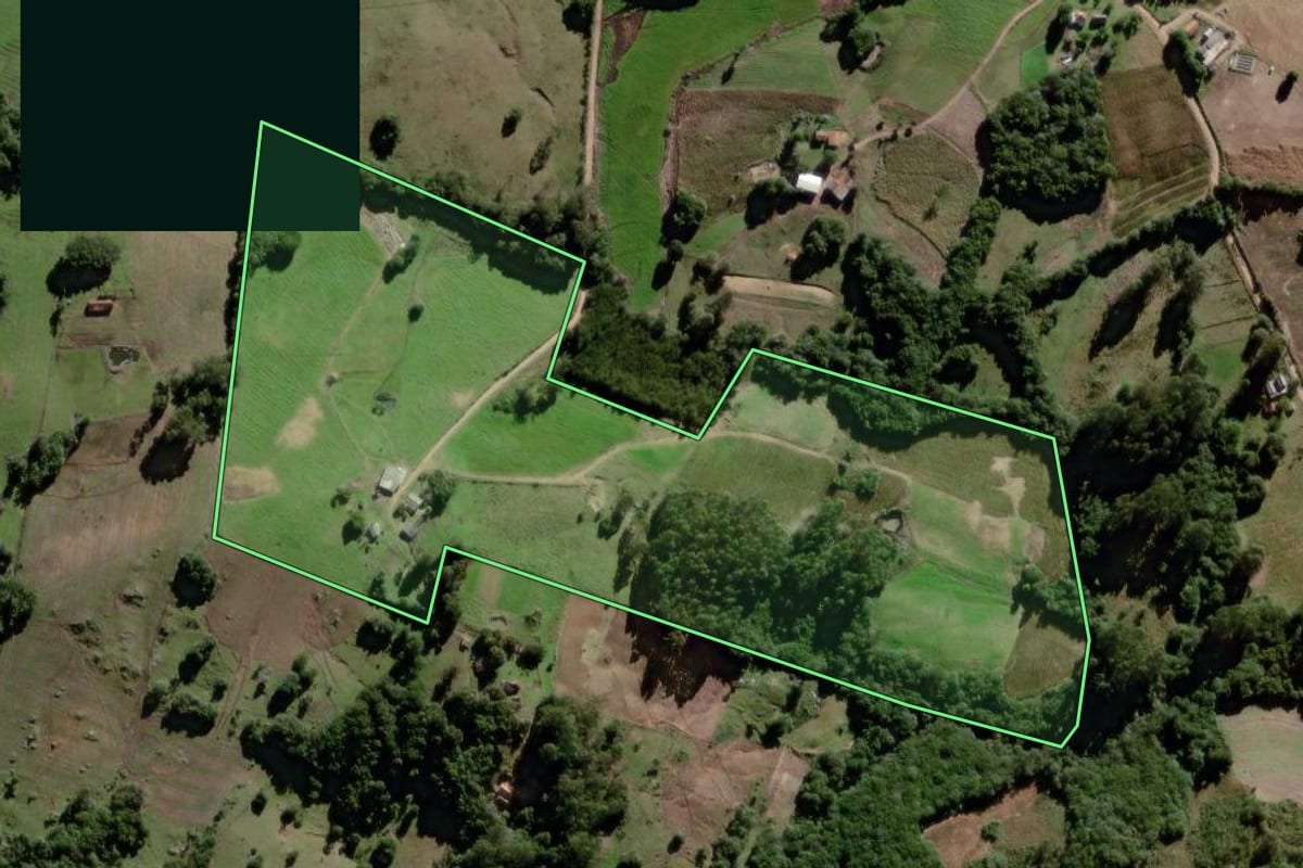 Imagem de satélite do imóvel rural em Canguçu (RS), com o contorno declarado no CAR desenhado por cima.