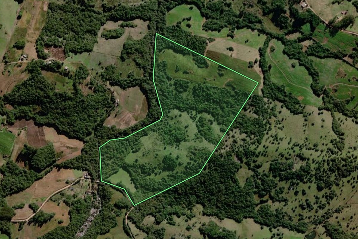 Imagem de satélite do imóvel rural em Canguçu (RS), com o contorno declarado no CAR desenhado por cima.