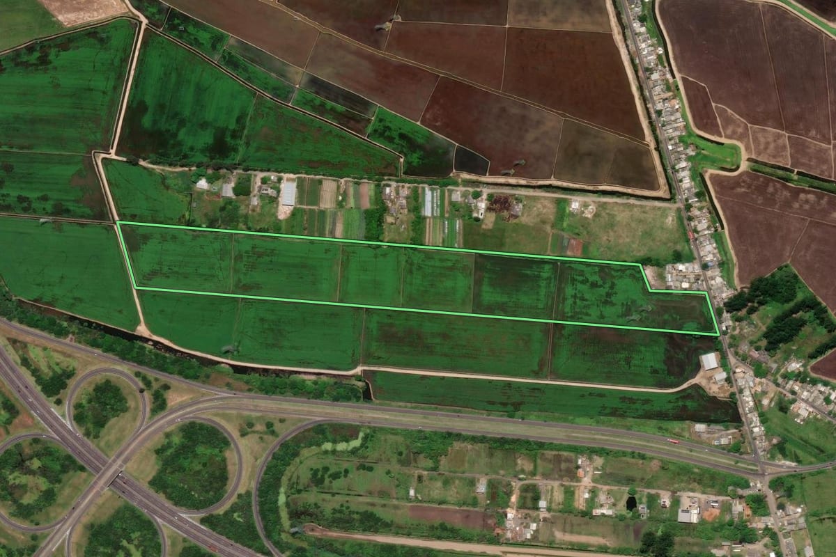 Imagem de satélite do imóvel rural em Canoas (RS), com o contorno declarado no CAR desenhado por cima.