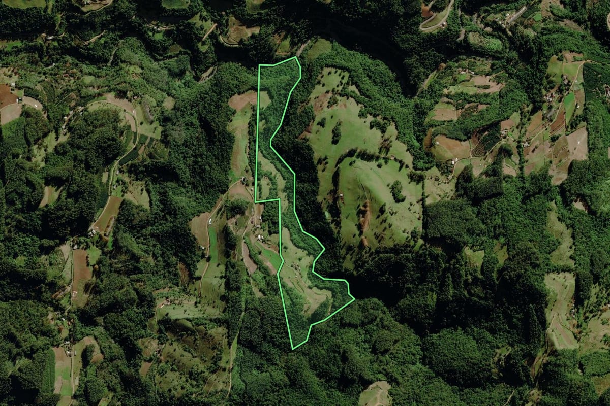 Imagem de satélite do imóvel rural em Canudos do Vale (RS), com o contorno declarado no CAR desenhado por cima.