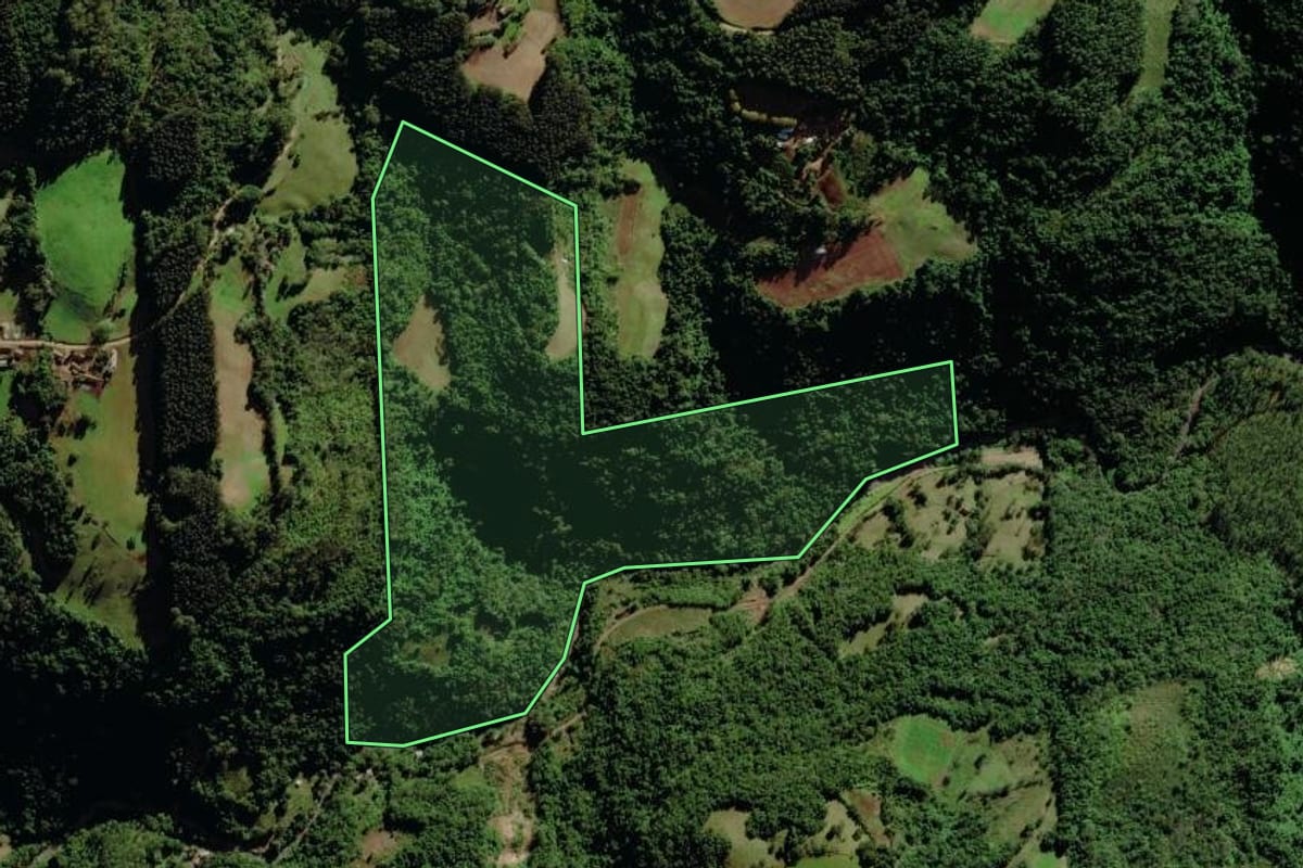 Imagem de satélite do imóvel rural em Canudos do Vale (RS), com o contorno declarado no CAR desenhado por cima.