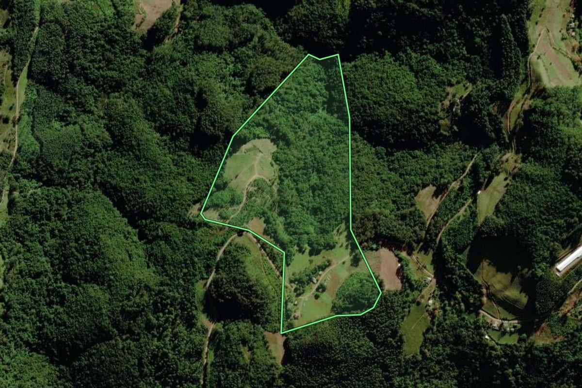Imagem de satélite do imóvel rural em Canudos do Vale (RS), com o contorno declarado no CAR desenhado por cima.