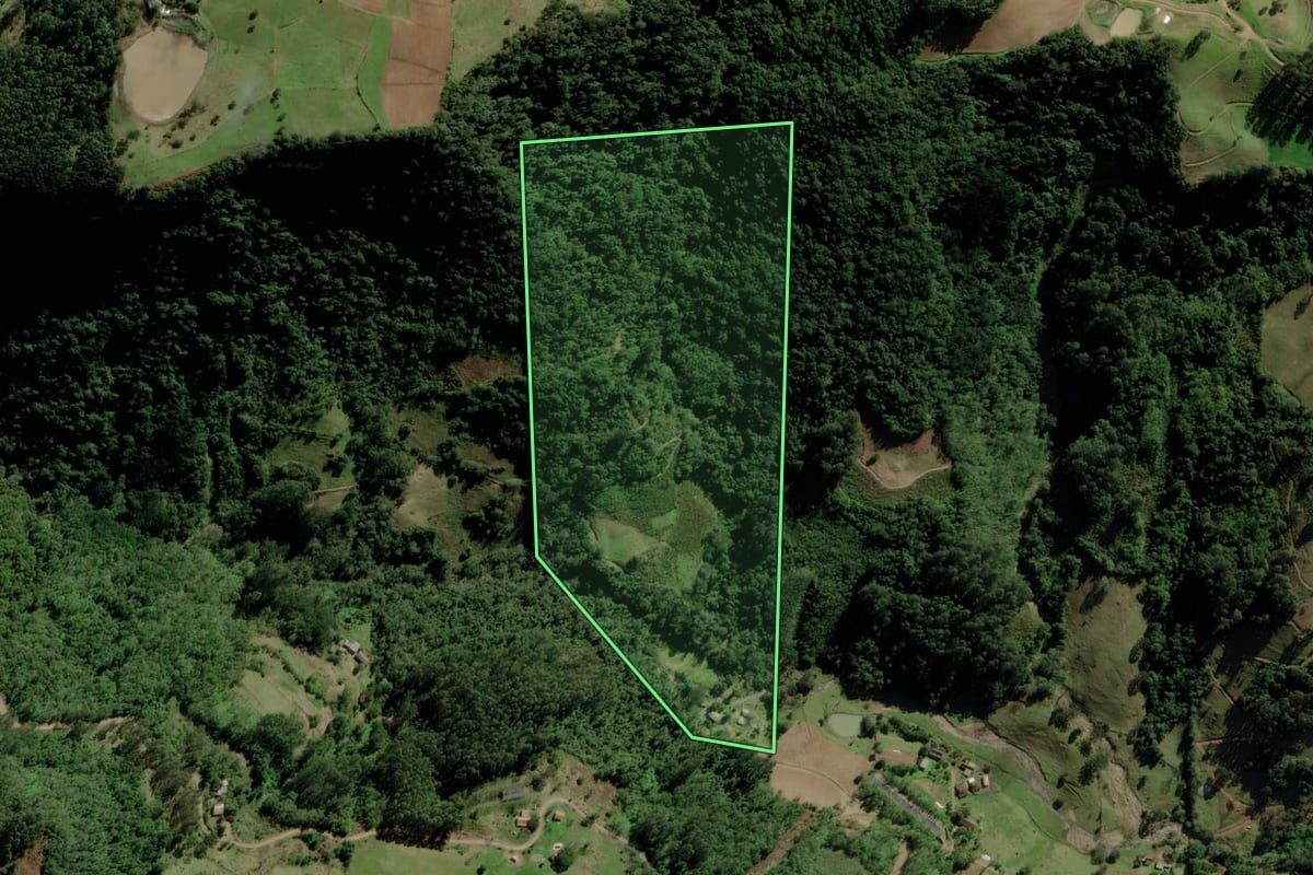 Imagem de satélite do imóvel rural em Canudos do Vale (RS), com o contorno declarado no CAR desenhado por cima.
