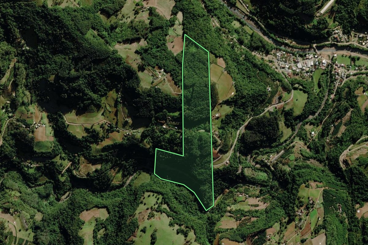 Imagem de satélite do imóvel rural em Canudos do Vale (RS), com o contorno declarado no CAR desenhado por cima.
