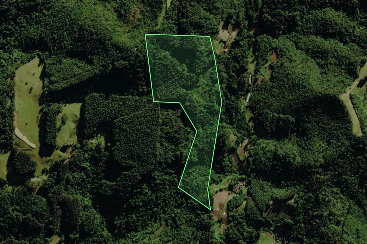 Imagem de satélite do imóvel rural em Canudos do Vale (RS), com o contorno declarado no CAR desenhado por cima.