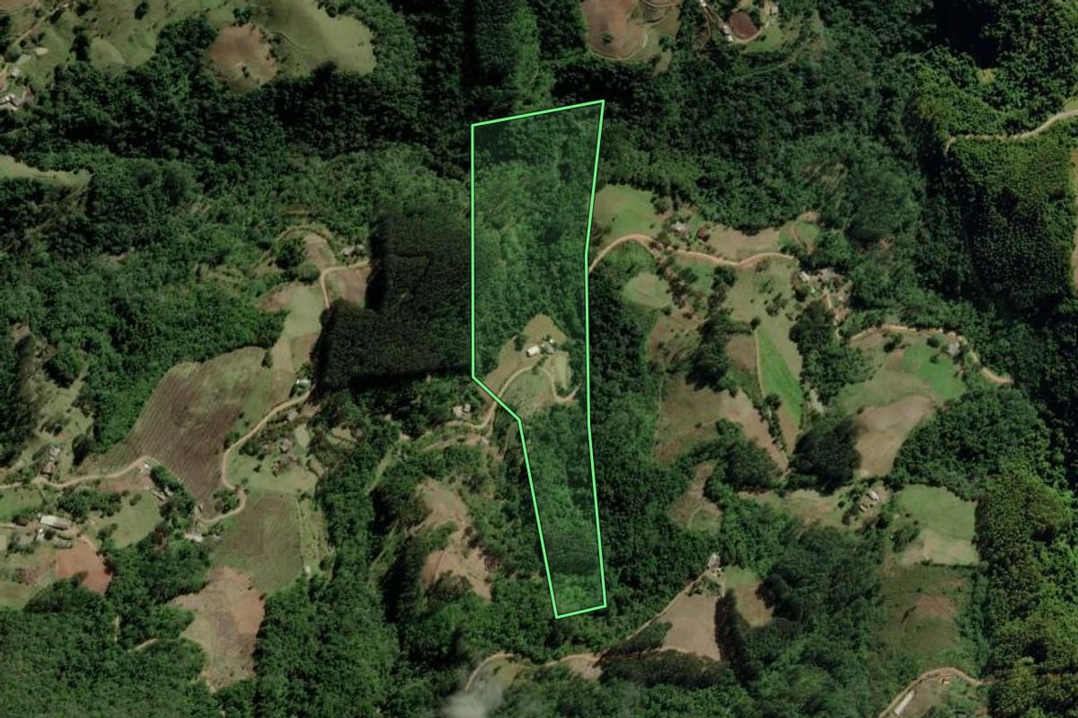 Imagem de satélite do imóvel rural em Canudos do Vale (RS), com o contorno declarado no CAR desenhado por cima.