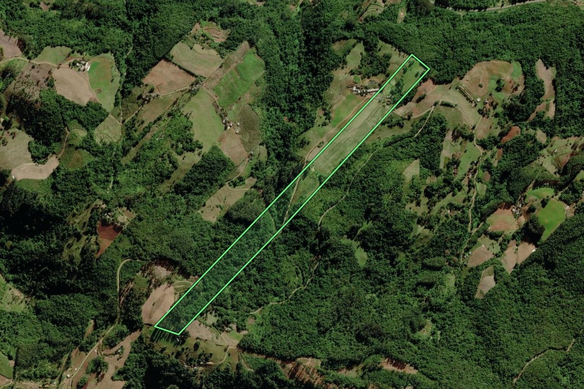 Imagem de satélite do imóvel rural em Canudos do Vale (RS), com o contorno declarado no CAR desenhado por cima.