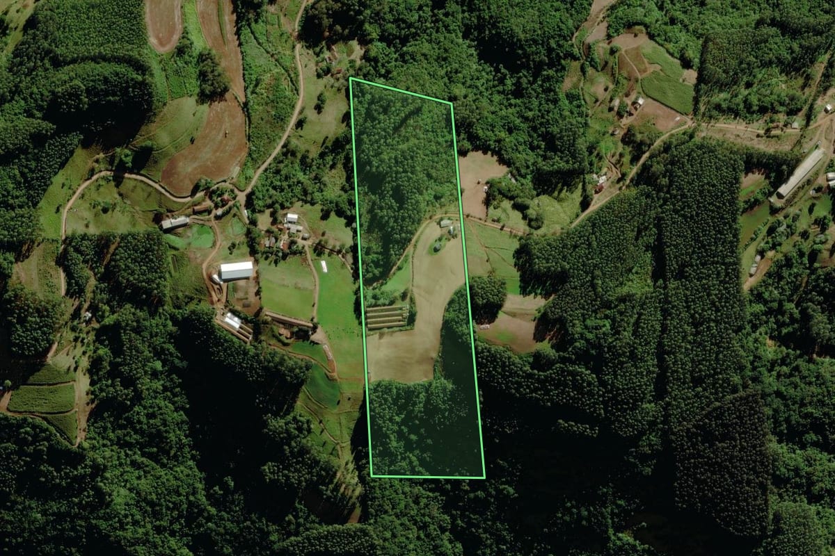 Imagem de satélite do imóvel rural em Canudos do Vale (RS), com o contorno declarado no CAR desenhado por cima.
