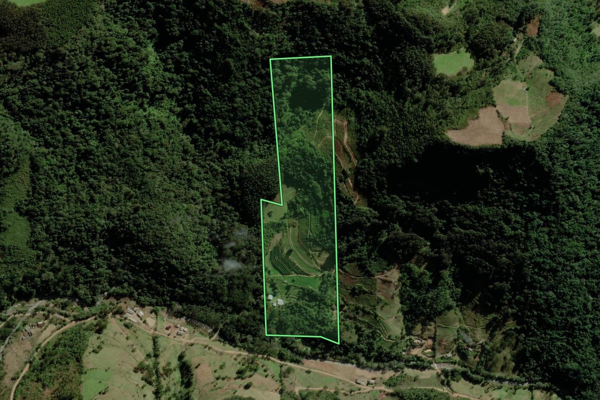 Imagem de satélite do imóvel rural em Canudos do Vale (RS), com o contorno declarado no CAR desenhado por cima.