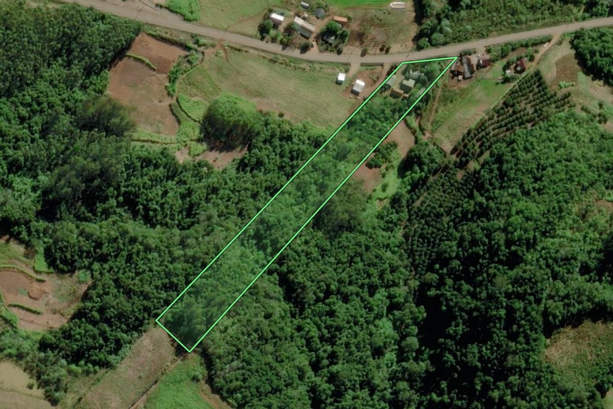 Imagem de satélite do imóvel rural em Canudos do Vale (RS), com o contorno declarado no CAR desenhado por cima.