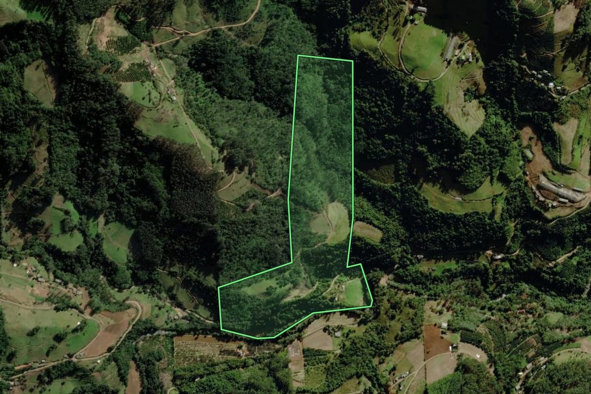 Imagem de satélite do imóvel rural em Canudos do Vale (RS), com o contorno declarado no CAR desenhado por cima.