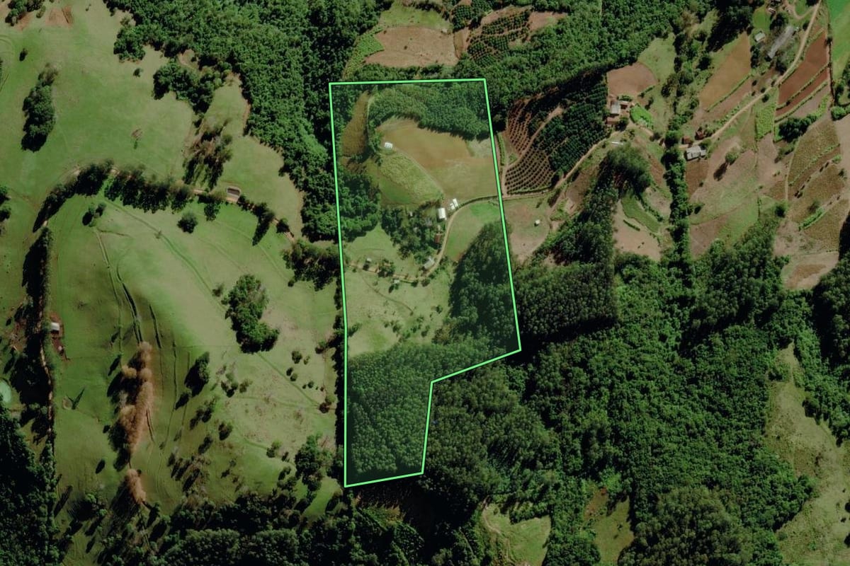 Imagem de satélite do imóvel rural em Canudos do Vale (RS), com o contorno declarado no CAR desenhado por cima.