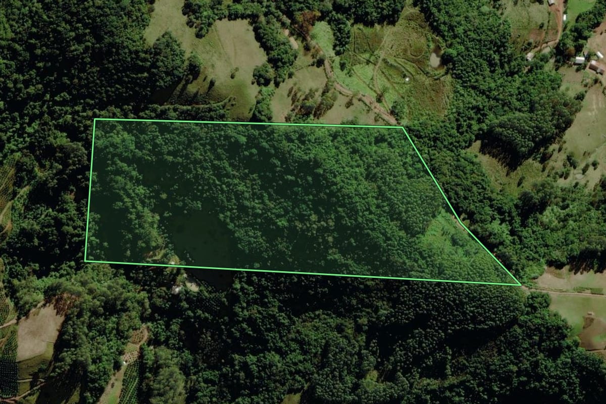 Imagem de satélite do imóvel rural em Canudos do Vale (RS), com o contorno declarado no CAR desenhado por cima.