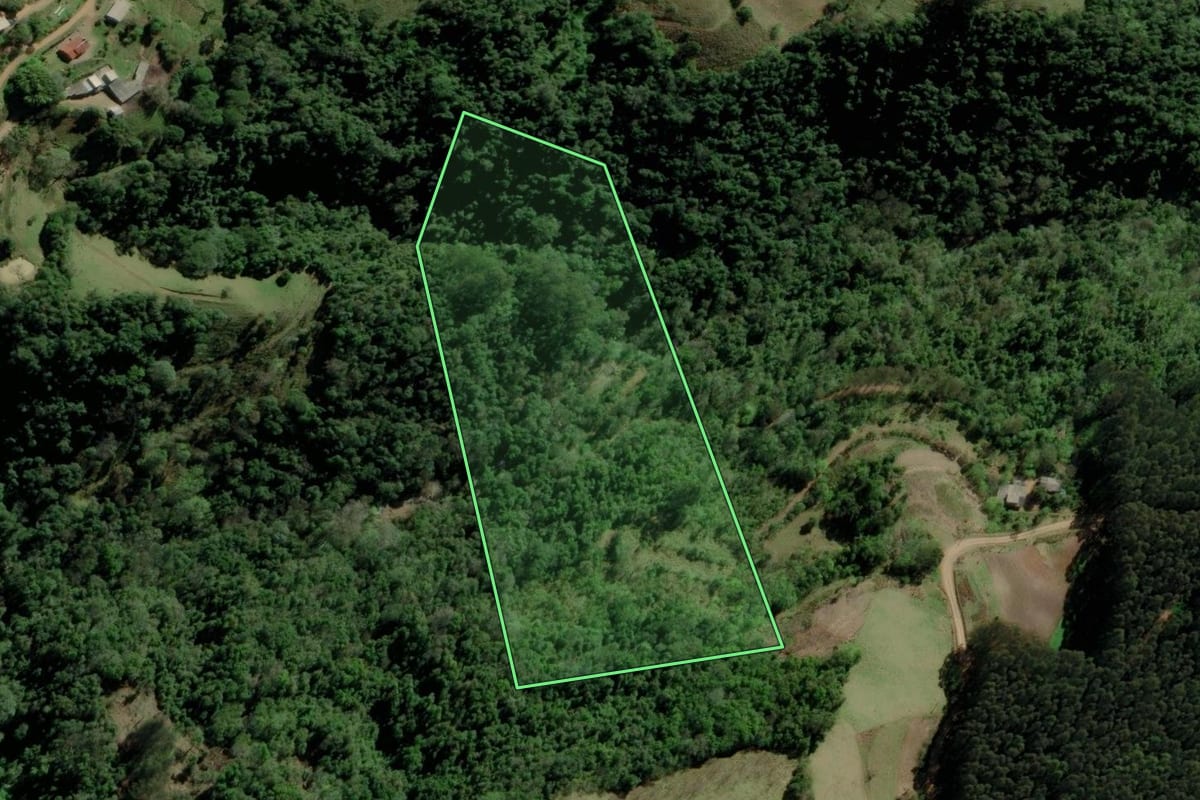 Imagem de satélite do imóvel rural em Canudos do Vale (RS), com o contorno declarado no CAR desenhado por cima.