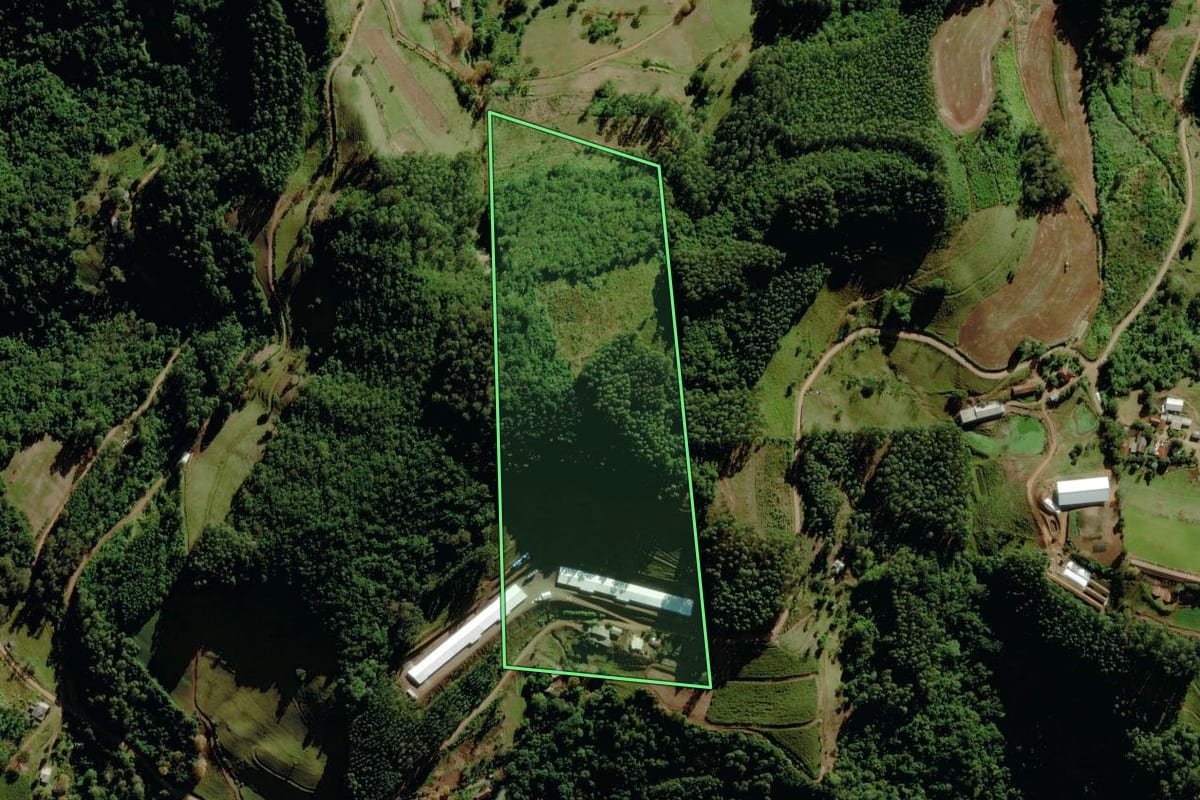 Imagem de satélite do imóvel rural em Canudos do Vale (RS), com o contorno declarado no CAR desenhado por cima.