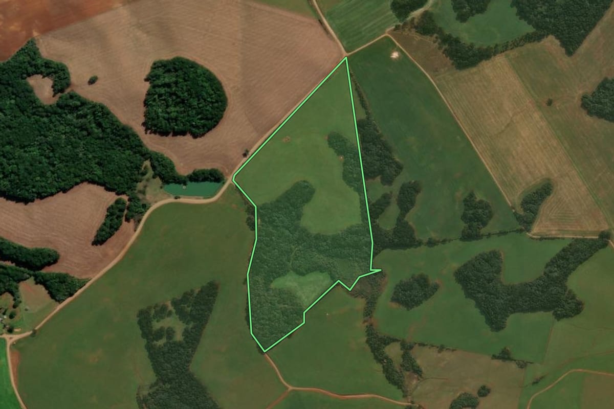 Imagem de satélite do imóvel rural em Capão Bonito do Sul (RS), com o contorno declarado no CAR desenhado por cima.