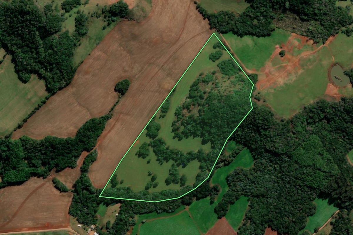 Imagem de satélite do imóvel rural em Capão Bonito do Sul (RS), com o contorno declarado no CAR desenhado por cima.