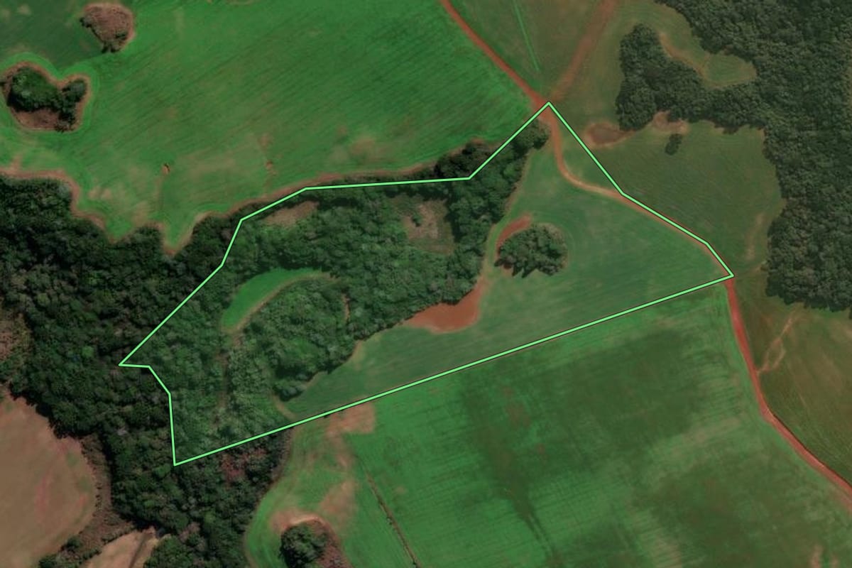 Imagem de satélite do imóvel rural em Capão Bonito do Sul (RS), com o contorno declarado no CAR desenhado por cima.