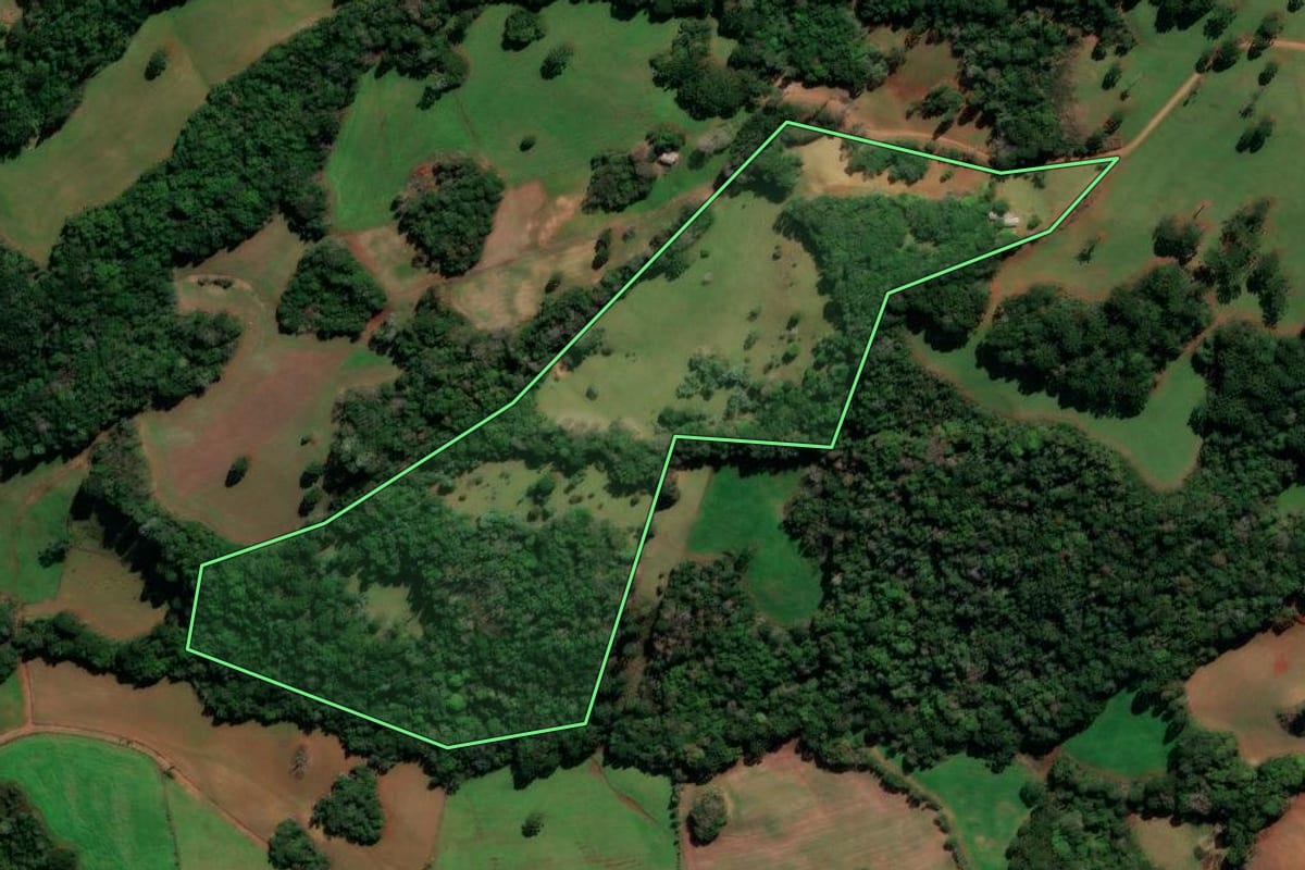 Imagem de satélite do imóvel rural em Capão Bonito do Sul (RS), com o contorno declarado no CAR desenhado por cima.