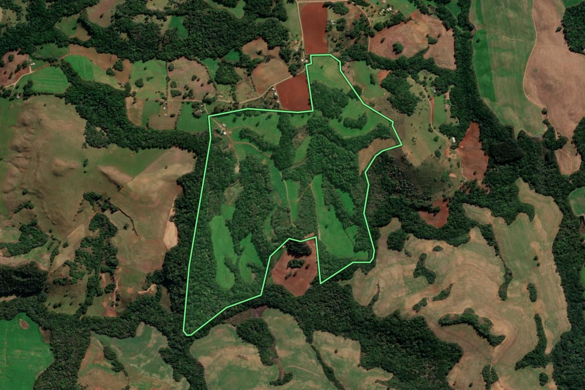 Imagem de satélite do imóvel rural em Capão Bonito do Sul (RS), com o contorno declarado no CAR desenhado por cima.