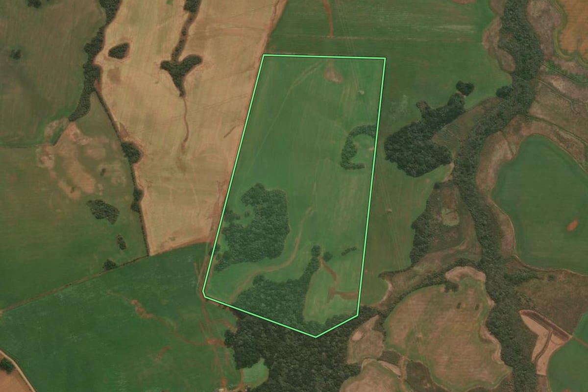 Imagem de satélite do imóvel rural em Capão Bonito do Sul (RS), com o contorno declarado no CAR desenhado por cima.