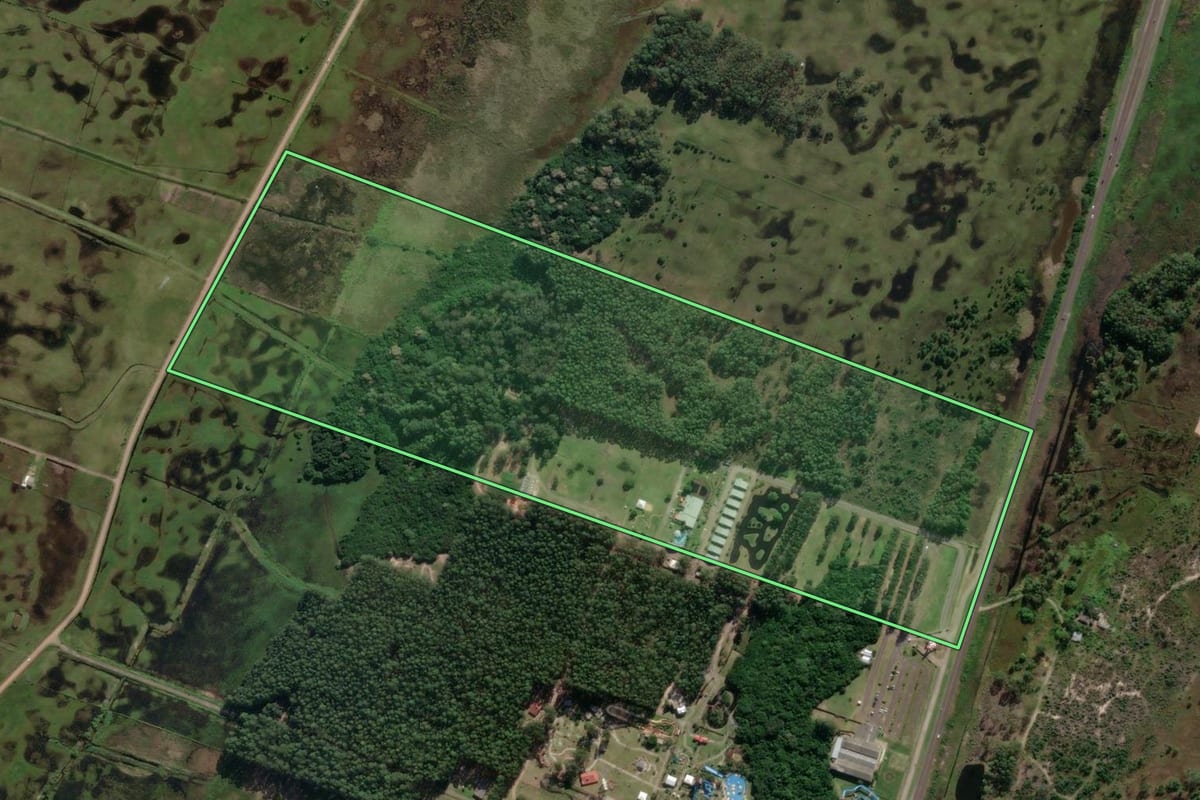 Imagem de satélite do imóvel rural em Capão da Canoa (RS), com o contorno declarado no CAR desenhado por cima.