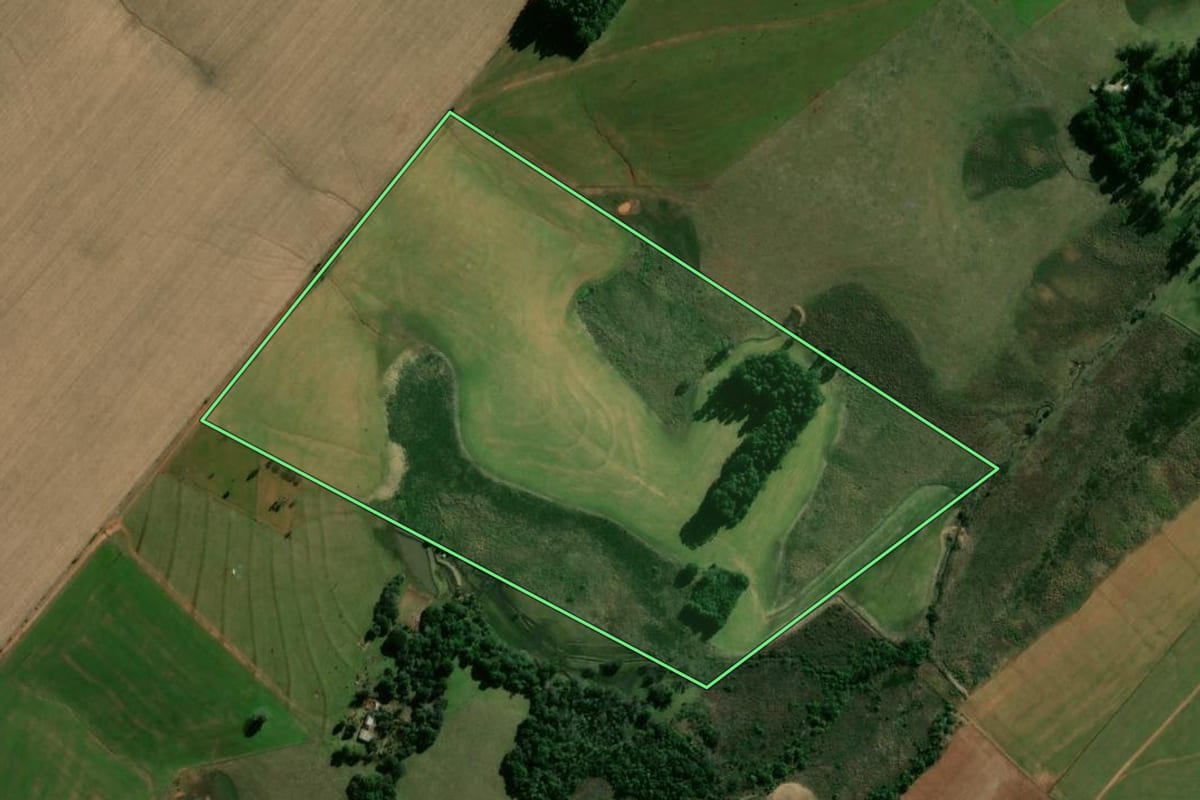 Imagem de satélite do imóvel rural em Capão do Cipó (RS), com o contorno declarado no CAR desenhado por cima.
