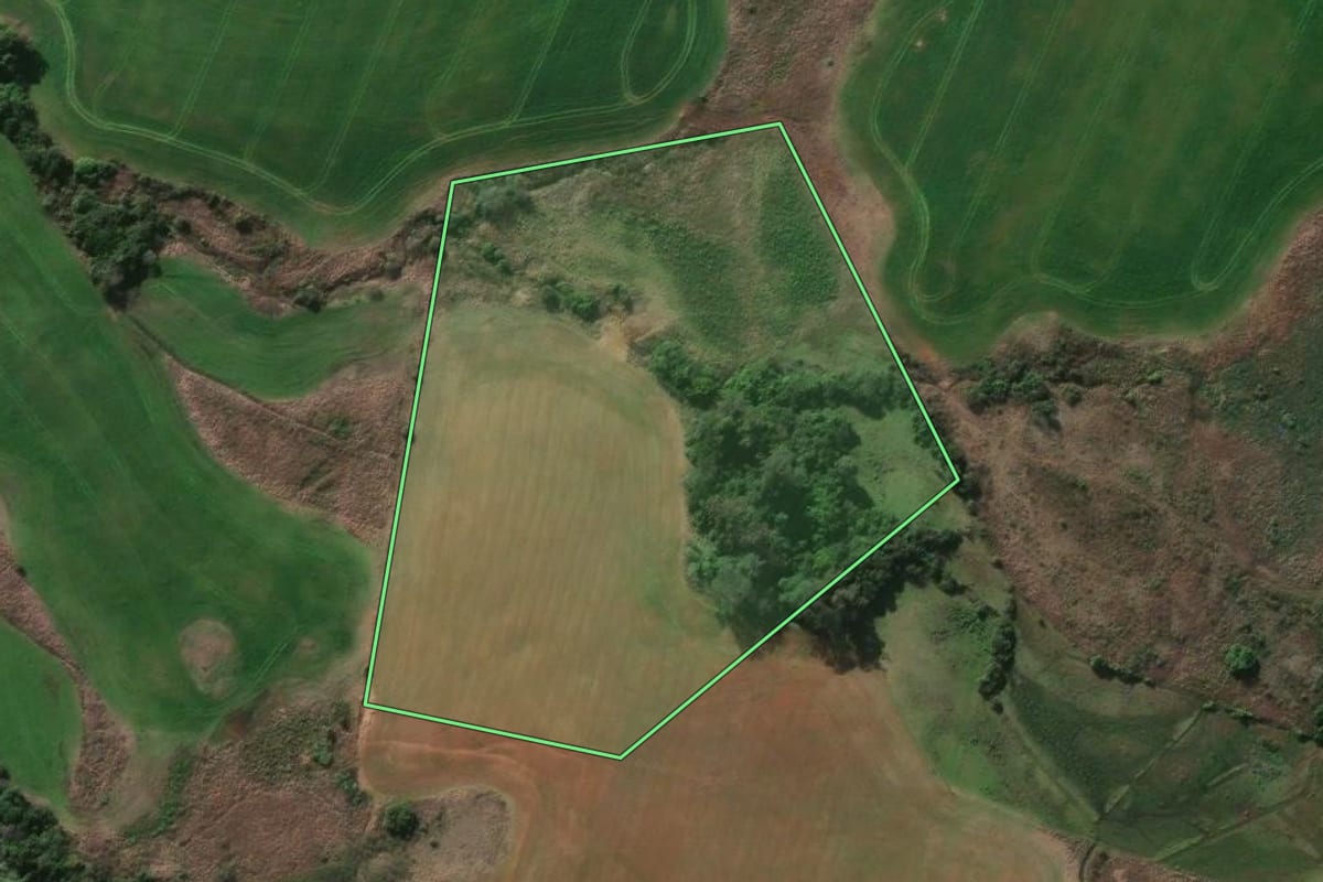 Imagem de satélite do imóvel rural em Capão do Cipó (RS), com o contorno declarado no CAR desenhado por cima.