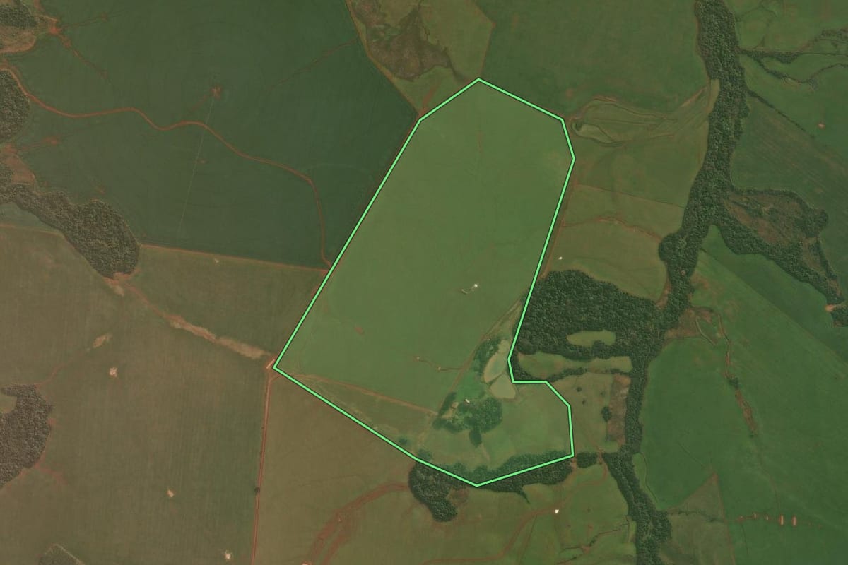 Imagem de satélite do imóvel rural em Capão do Cipó (RS), com o contorno declarado no CAR desenhado por cima.