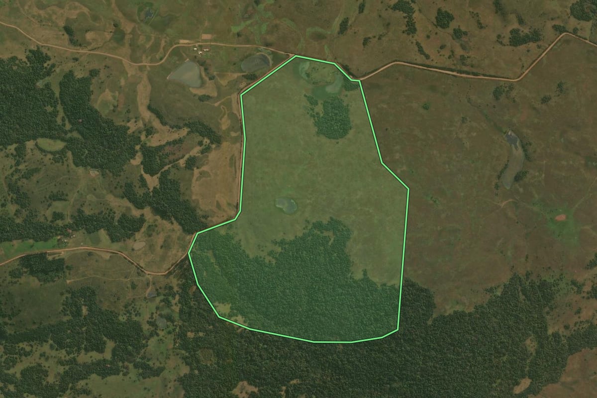 Imagem de satélite do imóvel rural em Capão do Cipó (RS), com o contorno declarado no CAR desenhado por cima.
