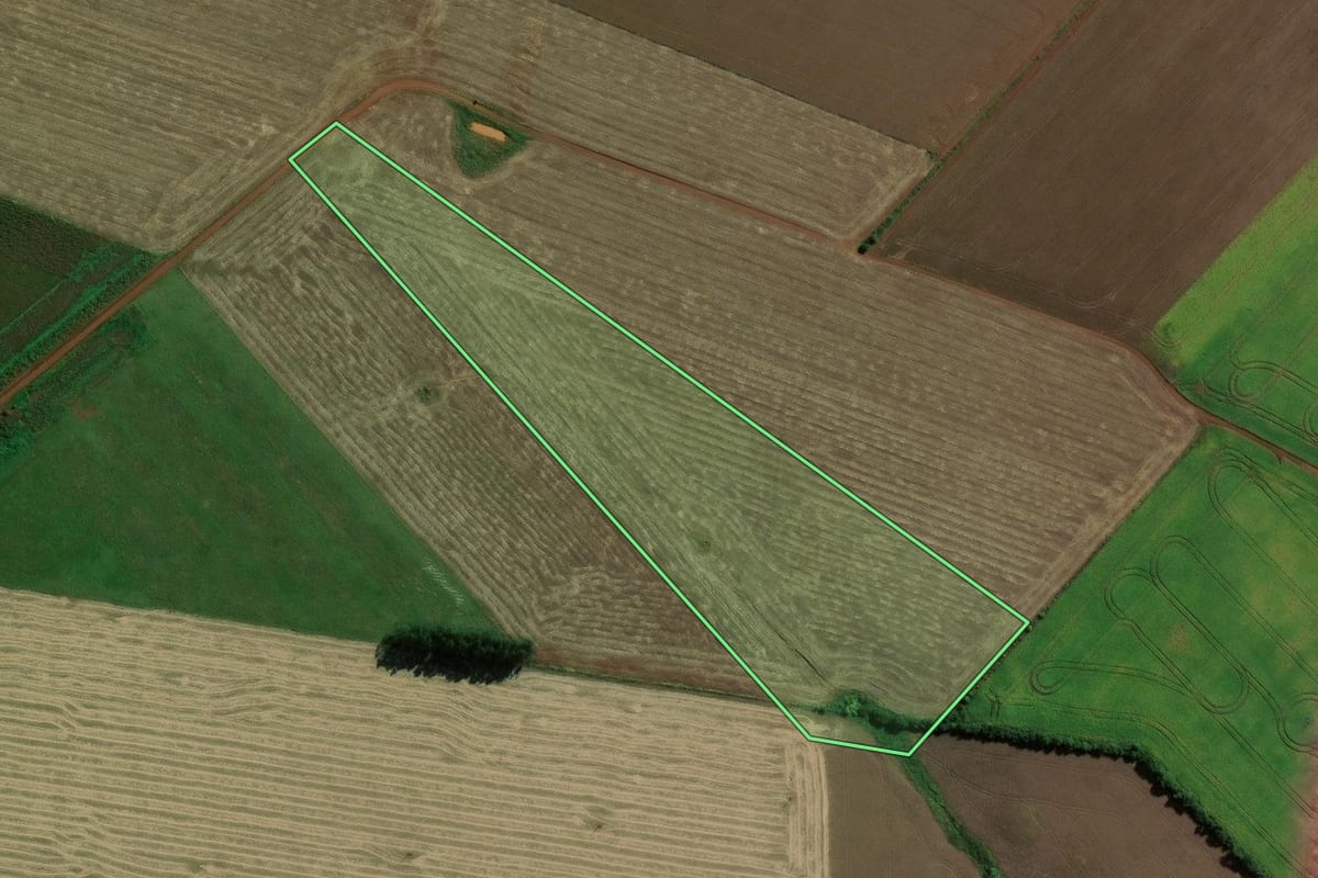 Imagem de satélite do imóvel rural em Capão do Cipó (RS), com o contorno declarado no CAR desenhado por cima.