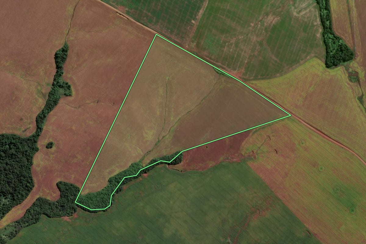 Imagem de satélite do imóvel rural em Capão do Cipó (RS), com o contorno declarado no CAR desenhado por cima.