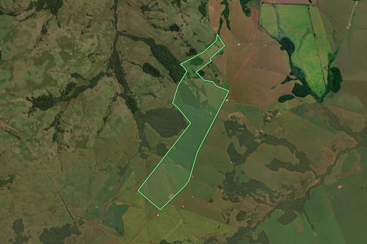 Imagem de satélite do imóvel rural em Capão do Cipó (RS), com o contorno declarado no CAR desenhado por cima.
